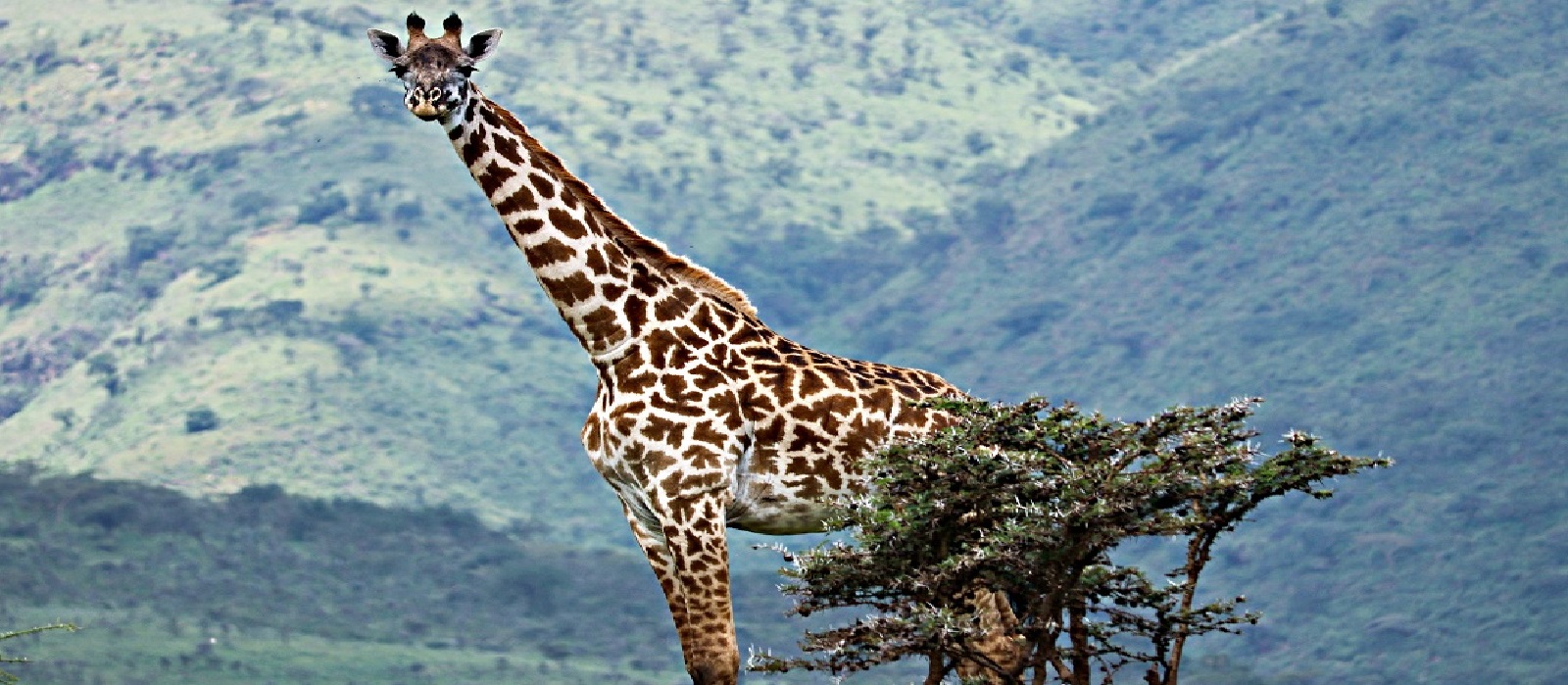 Explore Tanzania travel safari tours
