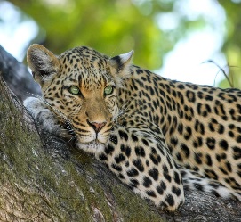 5 days sharing tours in Tanzania